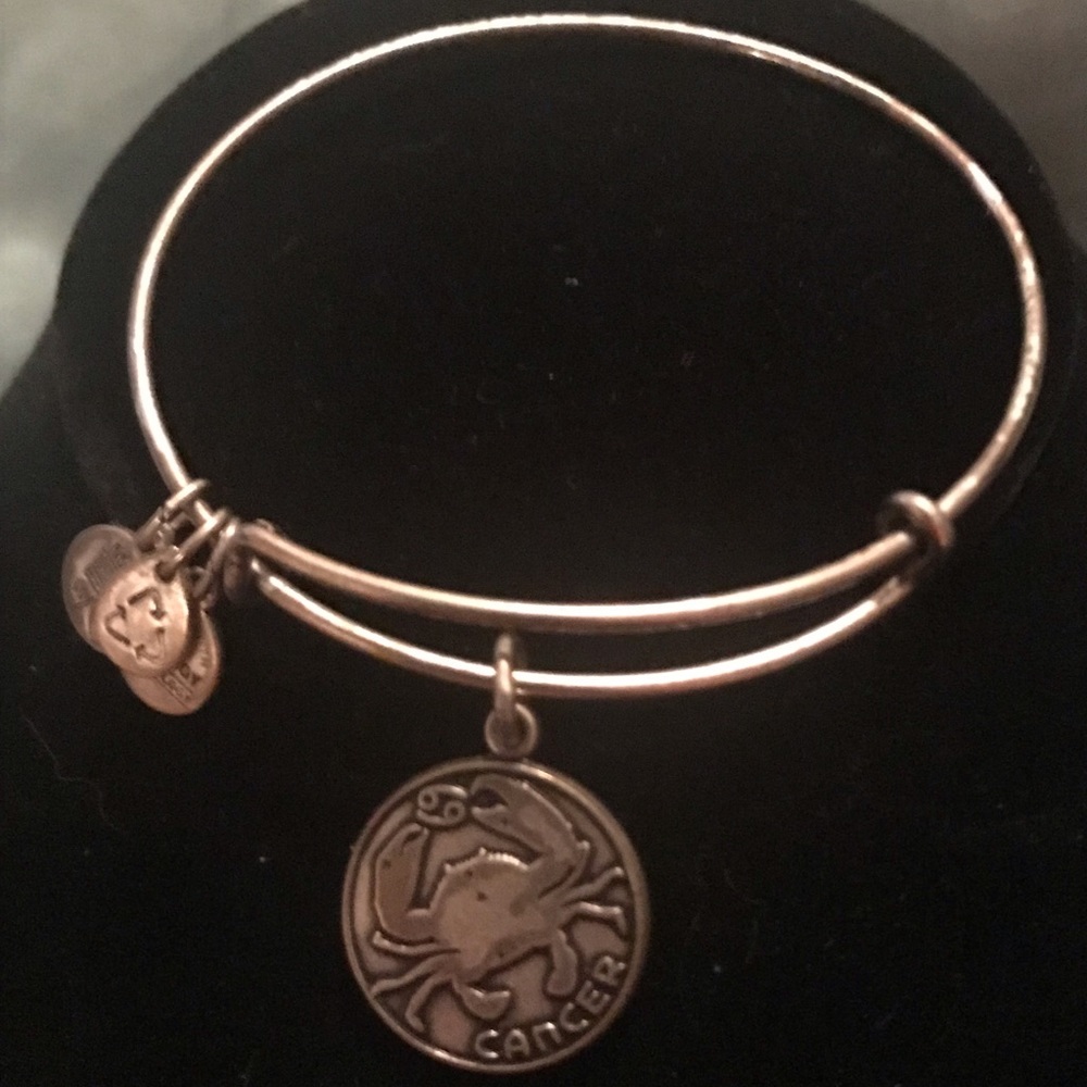 Alex & Ani Silver Tone Cancer Horoscope Bracelet